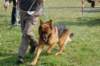 dsc_0170_small.jpg