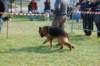 dsc_0171_small.jpg