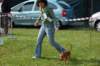 dsc_0174_small.jpg