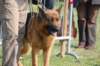 dsc_0196_small.jpg