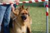 dsc_0199_small.jpg