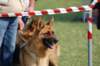 dsc_0200_small.jpg