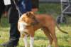 dsc_0201_small.jpg