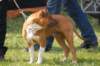 dsc_0202_small.jpg