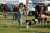 dsc_0210_small.jpg