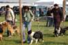 dsc_0212_small.jpg