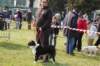 dsc_0229_small.jpg