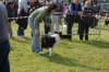 dsc_0231_small.jpg