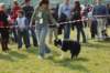 dsc_0232_small.jpg