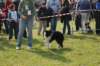 dsc_0233_small.jpg