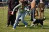 dsc_0255_small.jpg