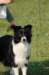 dsc_0256_small.jpg
