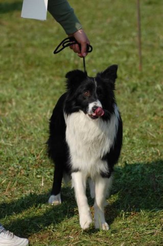 dsc_0257.jpg