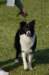 dsc_0257_small.jpg