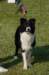 dsc_0258_small.jpg