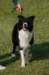 dsc_0259_small.jpg
