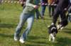 dsc_0261_small.jpg