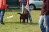 dsc_0280_small.jpg