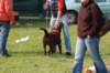 dsc_0281_small.jpg