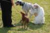 dsc_0290_small.jpg