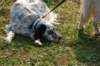dsc_0292_small.jpg