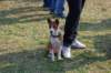 dsc_0305_small.jpg