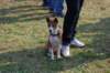 dsc_0306_small.jpg