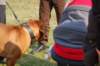 dsc_0308_small.jpg