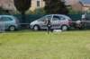 dsc_0316_small.jpg