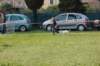 dsc_0317_small.jpg