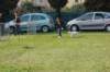 dsc_0319_small.jpg