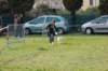 dsc_0320_small.jpg