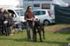 dsc_0353_small.jpg