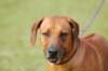 dsc_0368_small.jpg