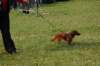 dsc_0369_small.jpg