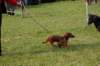 dsc_0370_small.jpg