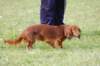 dsc_0382_small.jpg