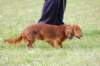 dsc_0383_small.jpg