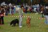 dsc_0387_small.jpg