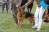 dsc_0412_small.jpg