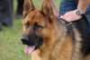 dsc_0413_small.jpg