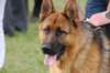 dsc_0414_small.jpg