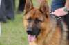 dsc_0415_small.jpg