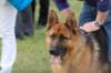 dsc_0417_small.jpg