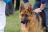 dsc_0418_small.jpg
