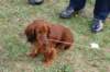 dsc_0420_small.jpg