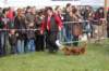 dsc_0422_small.jpg