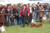 dsc_0423_small.jpg