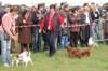 dsc_0425_small.jpg