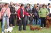 dsc_0429_small.jpg